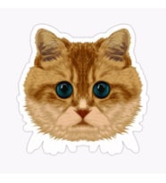 Araba Leptop için Kedi tekir Sticker Yapıştırması Etiket  17CM a3