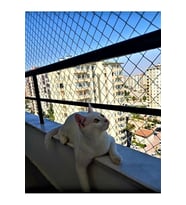 3 X 10 Metre Kedi Koruma Filesi Balkon Filesi 2 Mm Kedi Güvenlik Filesi Bebek Güvenlk Filesi (Çok Renkli)