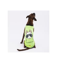 Pawstar Köpek T-Shirt Yeşil No Prob-Lama Büyük 5XLarge Sırt62cm Göğüs79cm Boyun51cm