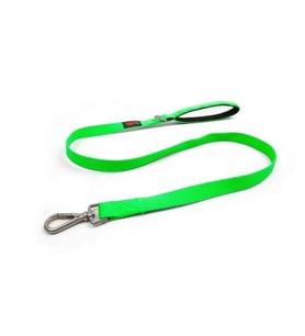 Tailpetz Match Leash Köpek Gezdirme Kayışı Neo-Yeşil Mavisi Small