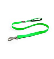 Tailpetz Match Leash Köpek Gezdirme Kayışı Neo-Yeşil Mavisi Small