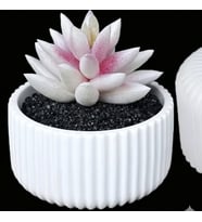 Dekoratif Saksı Silikon Kalıp 10.5x6 Cm