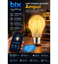 6W Daylight A+ Akıllı Ampul WiFi Uzaktan Kontrol Dim Edilebilir Alexa Google Uyumlu E27 Sarı
