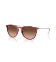RB 4171 6815A5 54 Ray-Ban ERIKA Güneş Gözlüğü