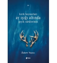 Kırık Boynuzları Ay Işığı Altında Geyik Sürülerinin