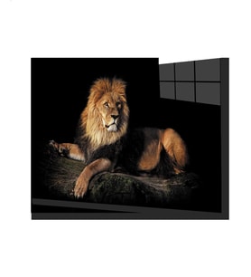 Aslan Hayvan Cam Tablo 4mm Dayanıklı Temperli Cam