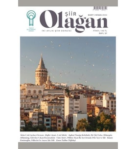 Olağan Şiir (37. Sayı)