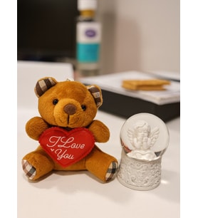 Sevimli Mini Peluş Ayıcık ve Mini Melek Kar Küresi Set Kahverengi