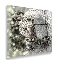 Leopar Cam Tablo