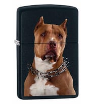 Zippo Çakmak Pit Bull with Collar - Black Matte 79845