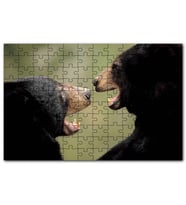 Cakapuzzle Dövüşen Kahverengi Ayılar Yakın Çekim Puzzle Yapboz MDF (Ahşap) (120 Parça)