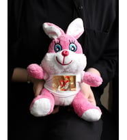 Kişiye Özel Fotoğraflı Tişörtlü Pembe Renk Peluş Tavşan 22cm