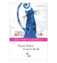 Öykü Öykü Gezen Kedi