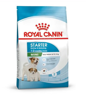 Royal Canin Mini Starter Yavru Köpek Maması 4kg
