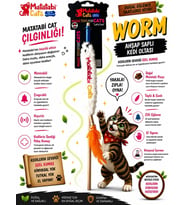 OLTA WORM (HIŞIRTILI,ÇINGIRAKLI,MATATABİ Lİ,MUHTEŞEM KUMAŞLI KEDİ OLTASI)