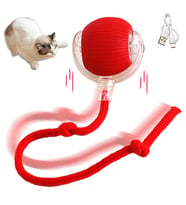 Şarjlı Kedi Oyuncağı