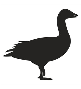ÖRDEK FOLYO STİCKER 160cm Uzunluk (Karışık)