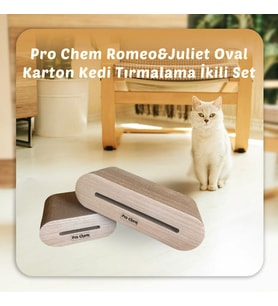 prochem karton tırmalama oval ikili set