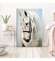 Miyrem Exclusive Serie" Boyama Efektli Beyaz At  Kanvas Tablo