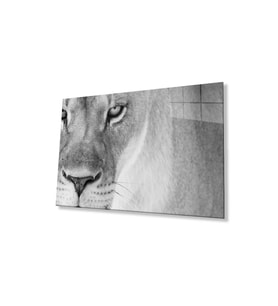 Aslan Cam Tablo 4mm Dayanıklı Temperli Cam (Çok Renkli)
