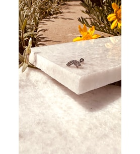 Star Sıra Yıldız Tasarım Zirkon Taşlı Şık Gümüş Renk Çelik Piercing Tragus Helix Stainless Steel