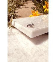 Star Sıra Yıldız Tasarım Zirkon Taşlı Şık Gümüş Renk Çelik Piercing Tragus Helix Stainless Steel