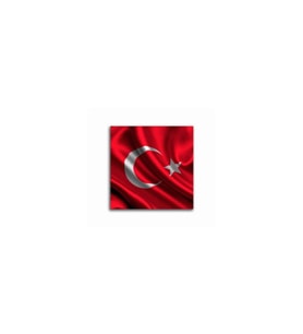 DBSanatevi Dalgalanan Türk Bayrağı Tablo 40 X 60 Cm