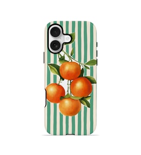 iPhone 17 Vorian Çift Katmanlı Kılıf Italian Orange Orchard