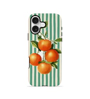 iPhone 17 Vorian Çift Katmanlı Kılıf Italian Orange Orchard