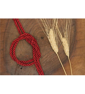 Kordon 5 mm - 30 mt Bordo
