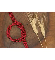 Kordon 5 mm - 30 mt Bordo