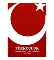 Türkçülük / Türkçülüğün Tarihi Gelişimi