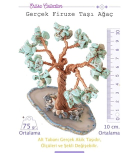 Sertifikalı Gerçek Firuze (turkuaz) Taşı Ağaç - Akik Plakalı