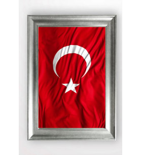 GÜMÜŞ ÇERÇEVELİ TABLO A1620