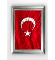 GÜMÜŞ ÇERÇEVELİ TABLO A1620