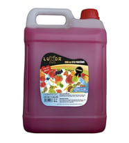Luxor Kimya Tutti Frutti Ev Oto Kokusu 5 Lt