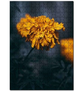Cakapuzzle Sarı Karanfil Çiçeği Görseli Puzzle Yapboz MDF (Ahşap) (120 Parça)