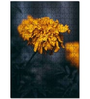 Cakapuzzle Sarı Karanfil Çiçeği Görseli Puzzle Yapboz MDF (Ahşap) (120 Parça)