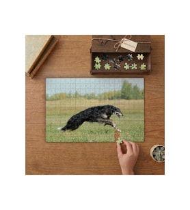 Koşan Rus Borzoy Cinsi Köpek Tasarımı 240 parça Ahşap Puzzle Ahşap Kutuda MP01094