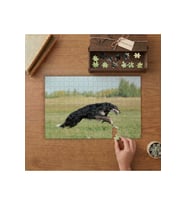 Koşan Rus Borzoy Cinsi Köpek Tasarımı 240 parça Ahşap Puzzle Ahşap Kutuda MP01094