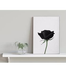 BK Home Black Rose Tasarımlı Kanvas Tablo-1