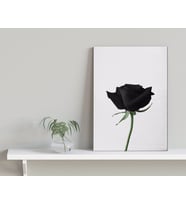 BK Home Black Rose Tasarımlı Kanvas Tablo-1