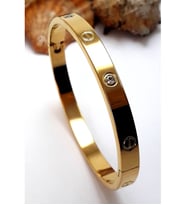 Takı Zirkon Taşlı Paslanmaz Çelik Cartier Bileklik Bilezik 18 cm