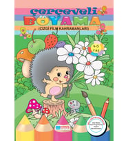 ÇERÇEVELİ BOYAMA - EVRENSEL İLETİŞİM YAYINLARI