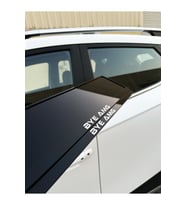 BYE AMG Özel Full Pleksi Plakalık