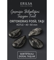 Sertifikalı Ortokeras Fosil Taşı Kütle 40–50 mm – Bilgelik ve Koruma Fosili (Çok Renkli)