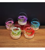 Led Işıklı Lale Cam Fanus 1 Adet