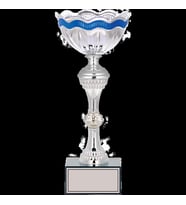 ODAK KUPA - X Large Kupalar - XL-007 C - 31 cm