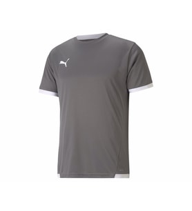Puma Teamliga Jersey Erkek Futbol Forması 70491713 Gri
