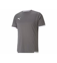 Puma Teamliga Jersey Erkek Futbol Forması 70491713 Gri